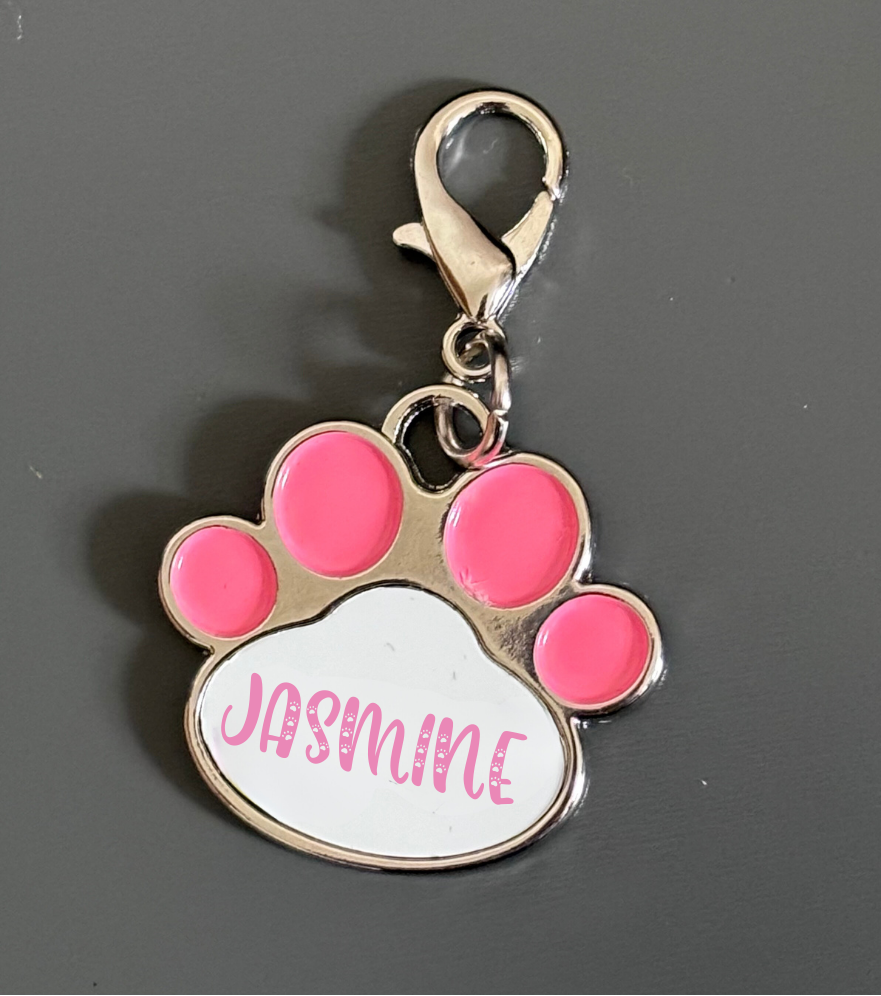 Personalised Pet Tag/Keyring