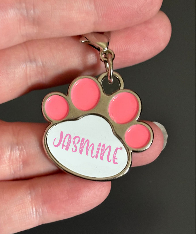 Personalised Pet Tag/Keyring